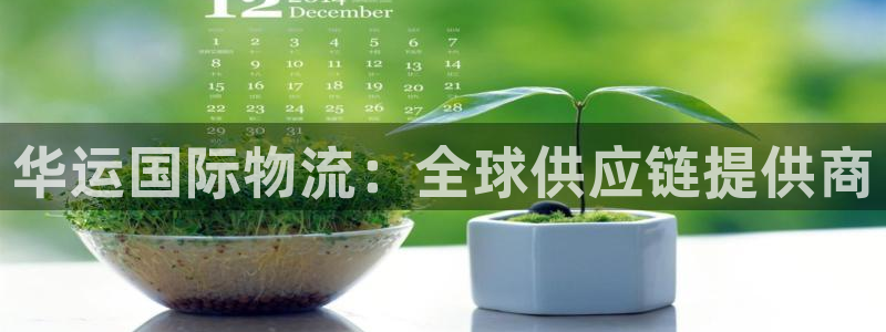 超凡国际下载不了：华运国际物流：全球