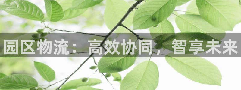 超凡国际游戏：园区物流：高效协同，智