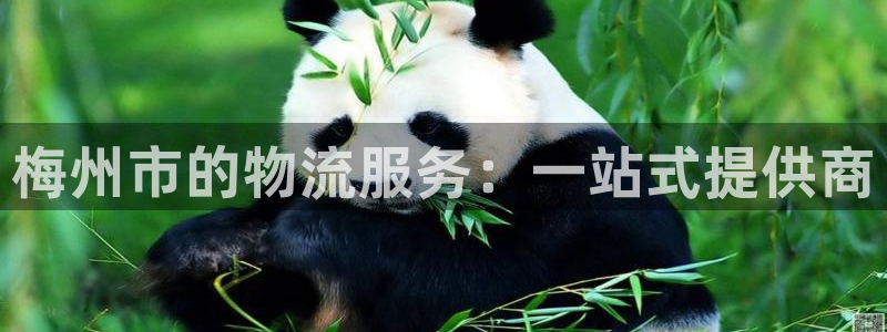 超凡国际黑吗：梅州市的物流服务：一站