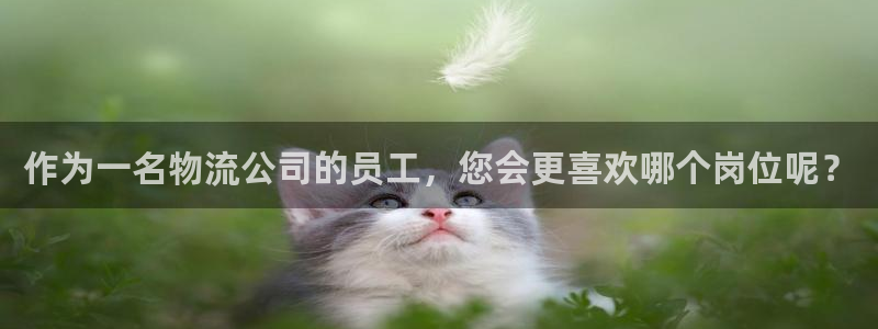 超凡国际官网平台下载