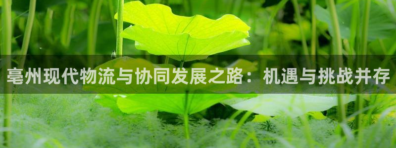 超凡国际机器人是什么软件