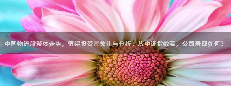 超凡国际提现不到账：中国物流股整体走