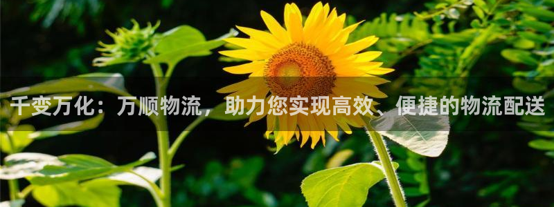 超凡国际是干嘛的