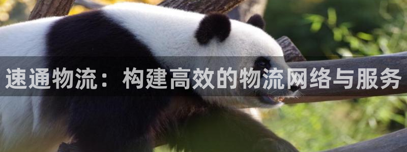 超凡国际官网入口pc是诈骗吗?：速通物流：构建高效的物流网络