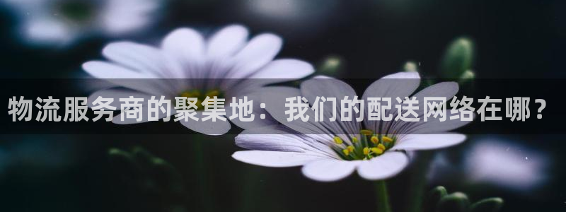 超凡国际现在狂杀：物流服务商的聚集地