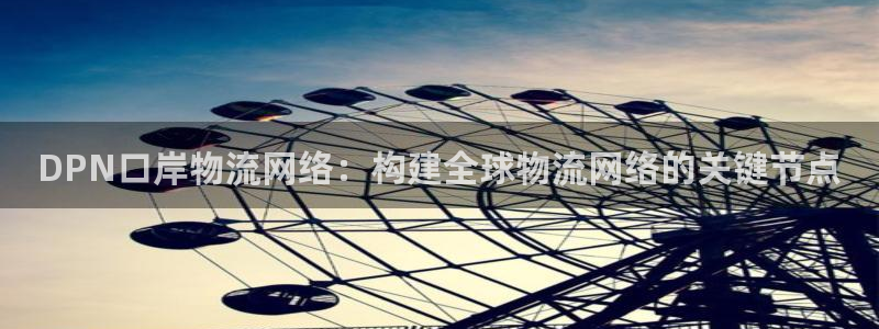 超凡国际正规吗：DPN口岸物流网络：