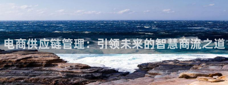 超凡国际昵称：电商供应链管理：引领未