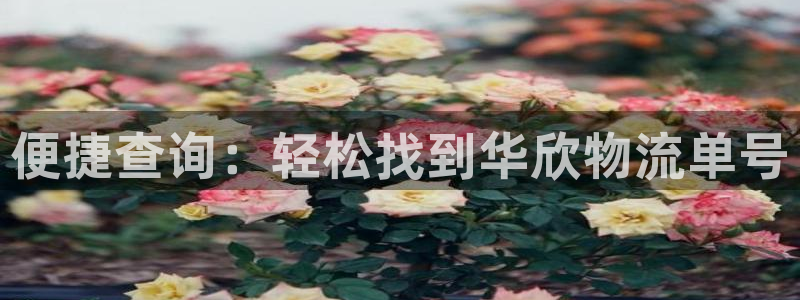 超凡国际加拿大开奖：便捷查询：轻松找