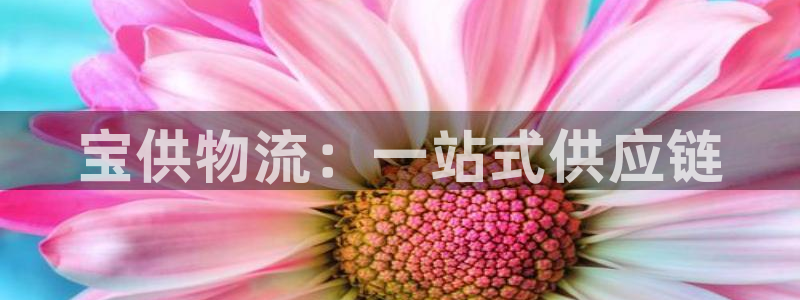 超凡国际口戒指是多大:宝供物流:一站