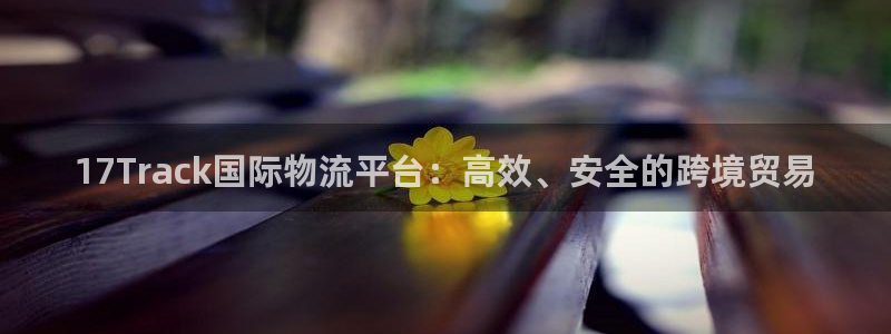 超凡国际电子游戏：17Track国际物流平台：高效、安全的跨